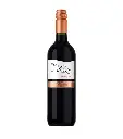 Sangiovese Terre Allegre - Cielo - 750ml.webp